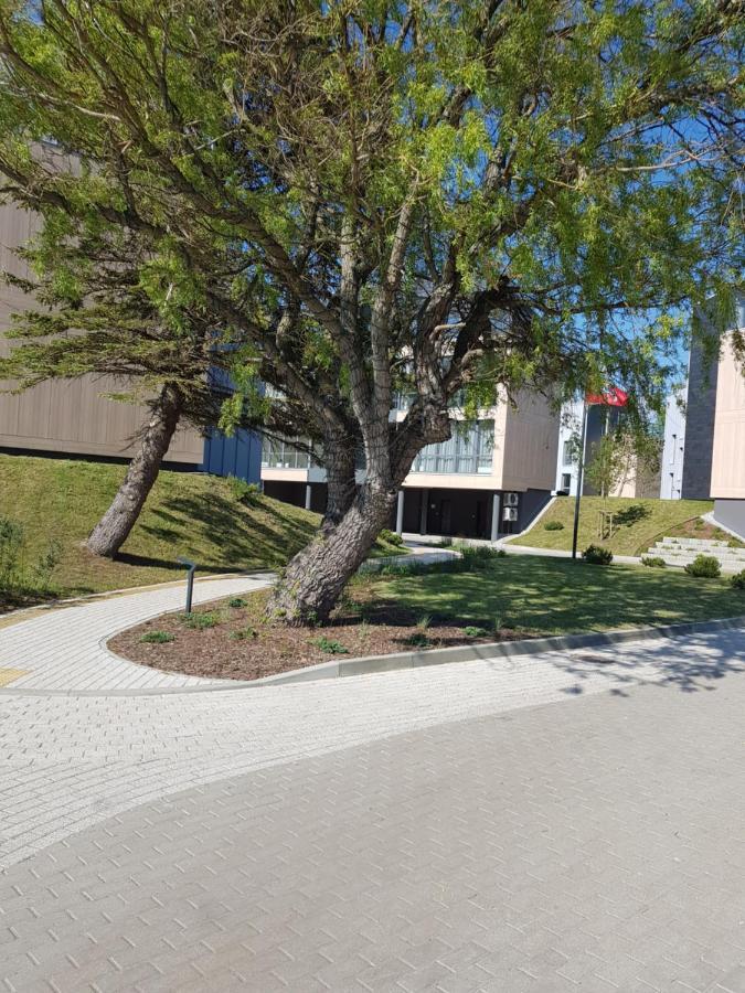 Apartamentai Su Vaizdu I Jura Palanga Exterior foto